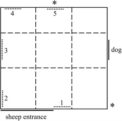 Attention Bias Test Differentiates Anxiety and Depression in Sheep